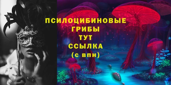 твердый Зеленокумск