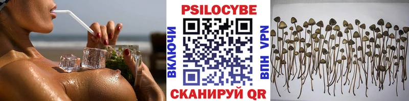 Псилоцибиновые грибы мухоморы  kraken   Дыгулыбгей 